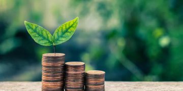 استراتيجيات لجذب الاستثمارات وتعزيز التنمية الاقتصادية المستدامة